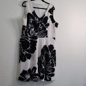 Black and White Dress